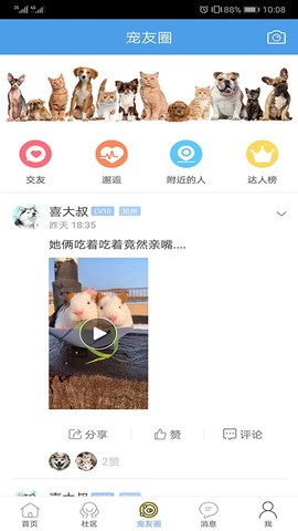 宠物之家截图3