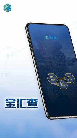 金汇查截图1