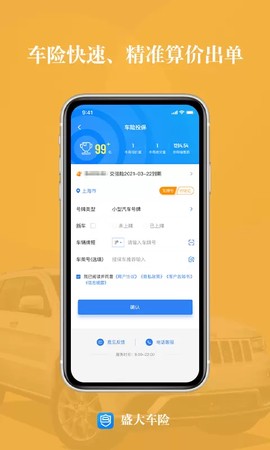 盛大车险截图2