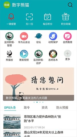 数字熊猫[图1]