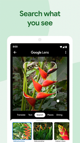 google相册截图2