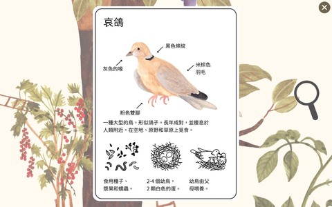 小棕鼠百科截图3
