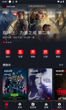 网飞猫截图3