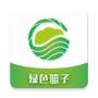 绿色篮子