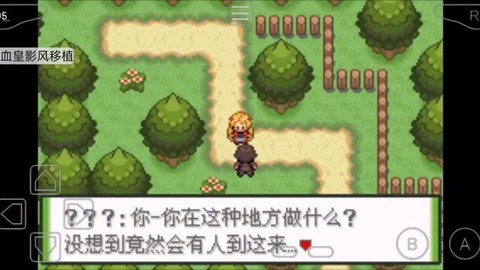 口袋妖怪釉色怎么用