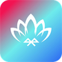 宝莲灯