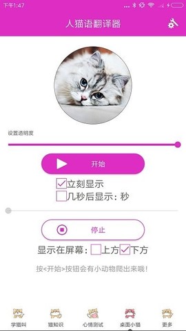 人猫语翻译器[图1]