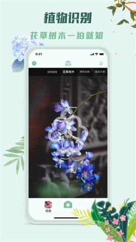 识花君[图1]