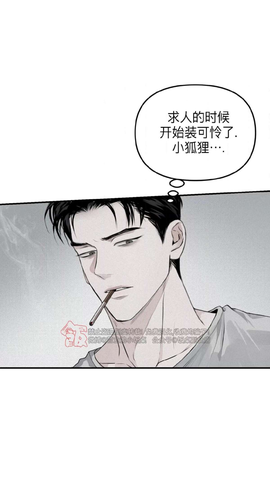 蛋圈动漫[图1]