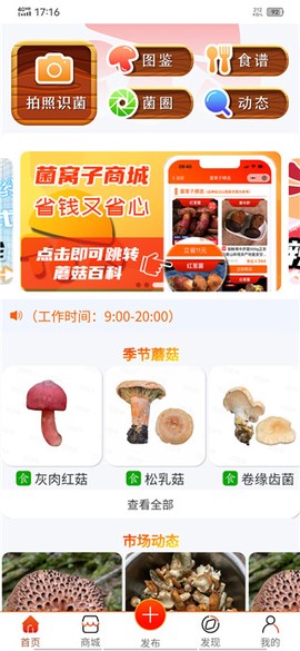 菌窝子[图1]