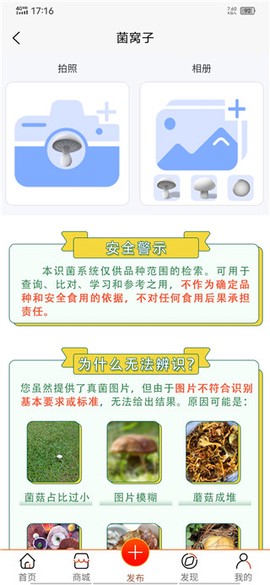 菌窝子[图2]