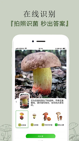 菌窝子截图3
