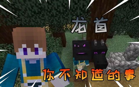 我的世界龙首有什么用