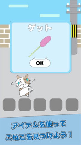 猫咪不见了图2