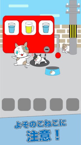 猫咪不见了图3
