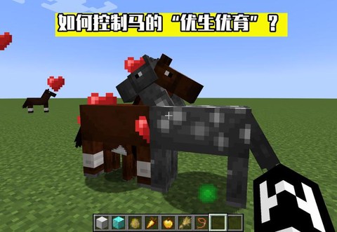 我的世界怎么让马繁殖