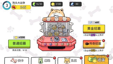 菜狗大战[图6]