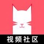 猫咪视频
