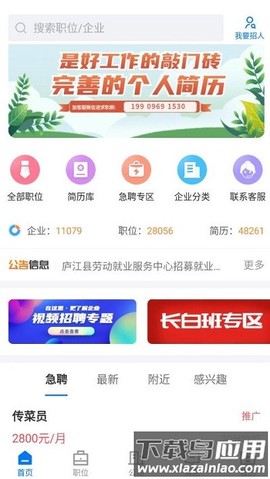 魅力庐江人才网截图3