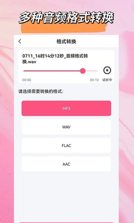 音频格式大师截图2
