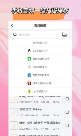 音频格式大师截图3