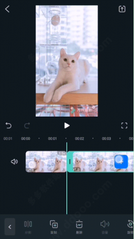 万兴喵影[图3]
