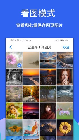 alook浏览器截图2