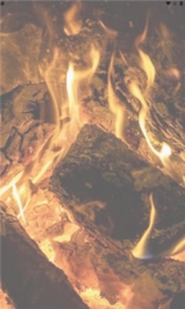 卫星遥感林火监测平台图3