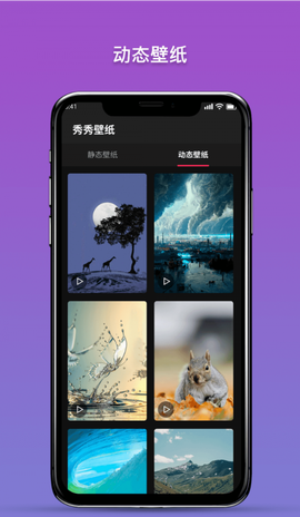 秀秀壁纸截图3