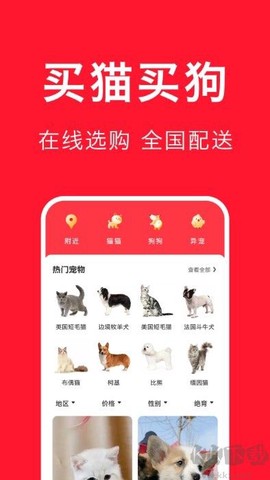 宠物宝[图1]