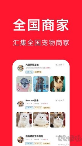 宠物宝[图2]