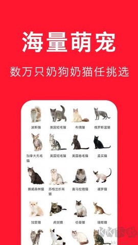 宠物宝[图3]