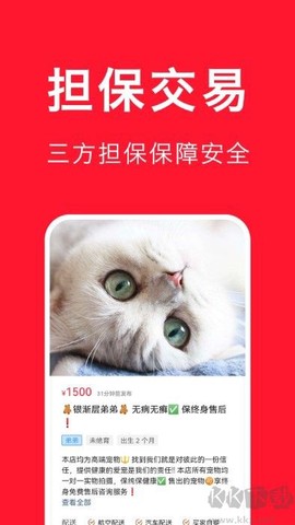 宠物宝[图4]