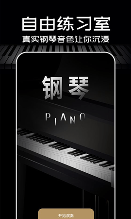 掌上钢琴截图2