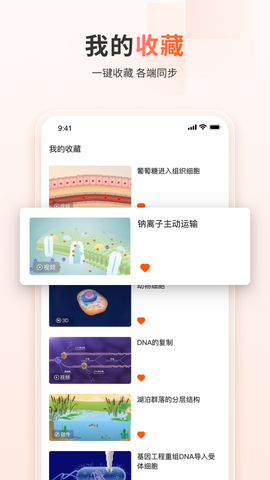 火花学院截图1
