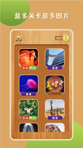 王者拼图2截图2