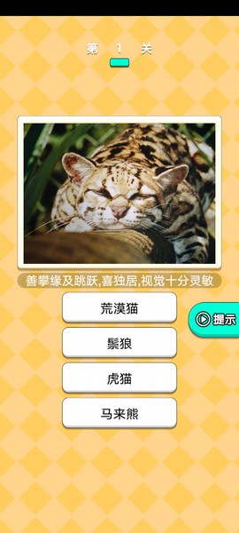 爆炸回旋镖截图1