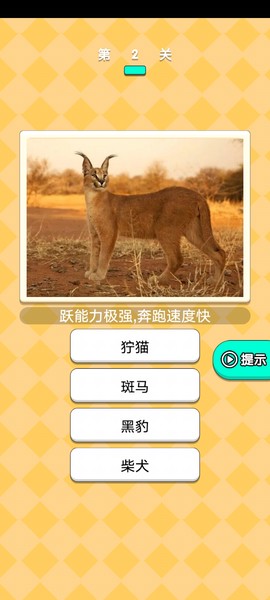 爆炸回旋镖截图2