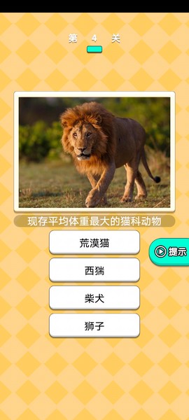 爆炸回旋镖截图3