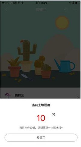 花花草草截图2