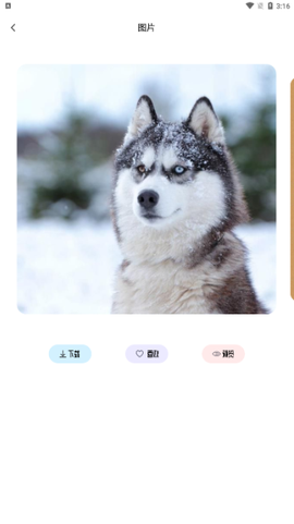 草莓壁纸大全[图7]