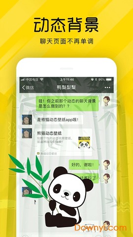 熊猫壁纸[图1]