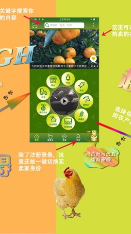 农卷风[图2]