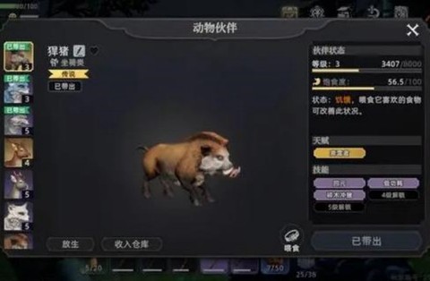 荒原曙光[图3]