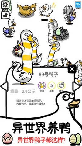 鸭了个鸭截图3