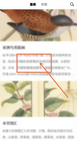 古书之美[图2]