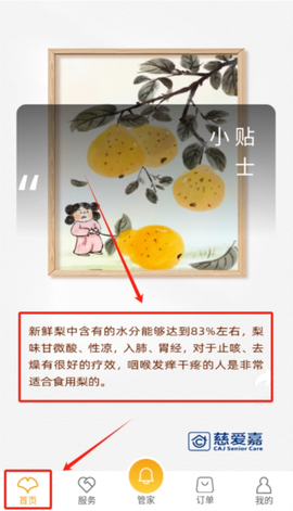 银杏家[图3]