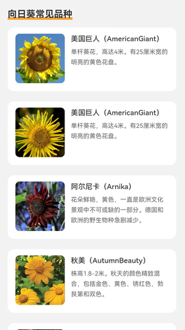 向阳流量截图1