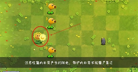 植物大战僵尸转基因版[图5]