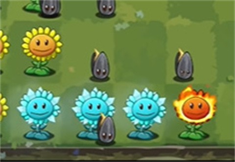植物大战僵尸转基因版[图10]